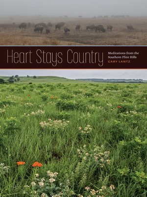 cover image of Heart Stays Country